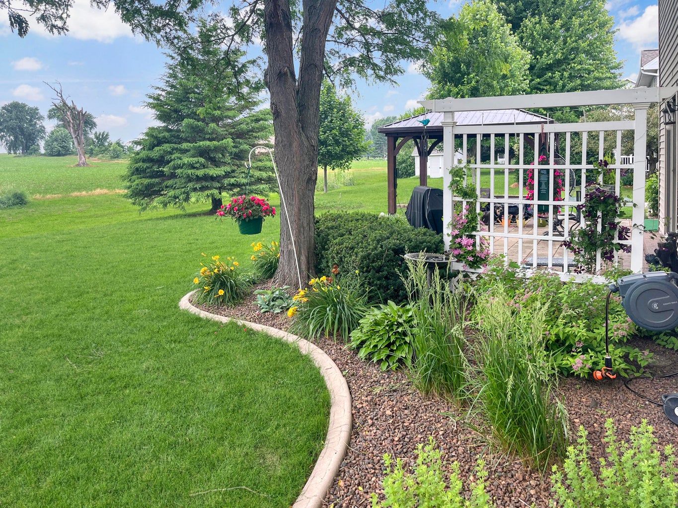 back yard
